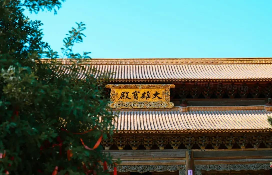 Puente China España 1